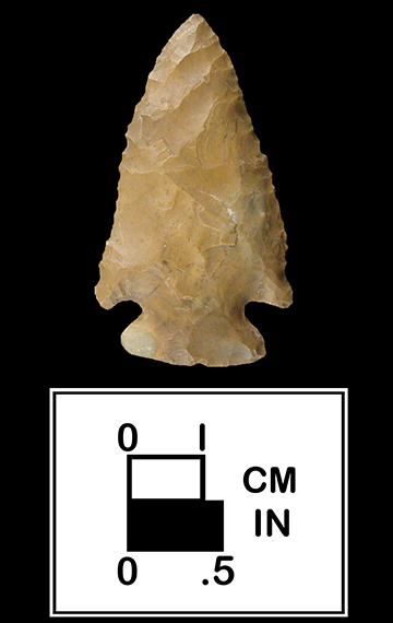 Kirk corner-notched point from site 18DO170-114.001.